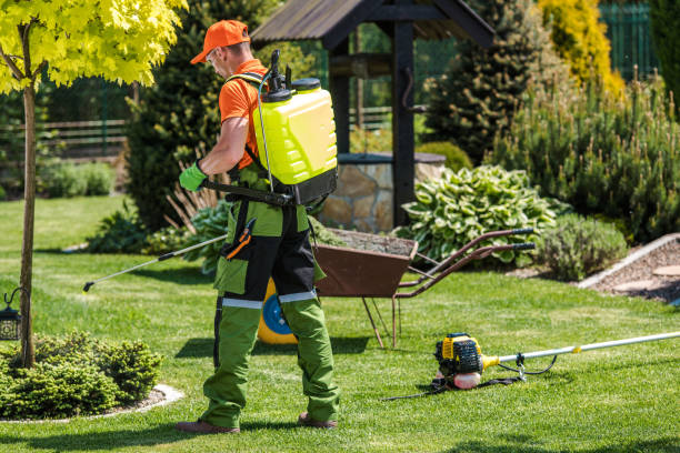 Best Bee and Wasp Removal  in Lawnside, NJ